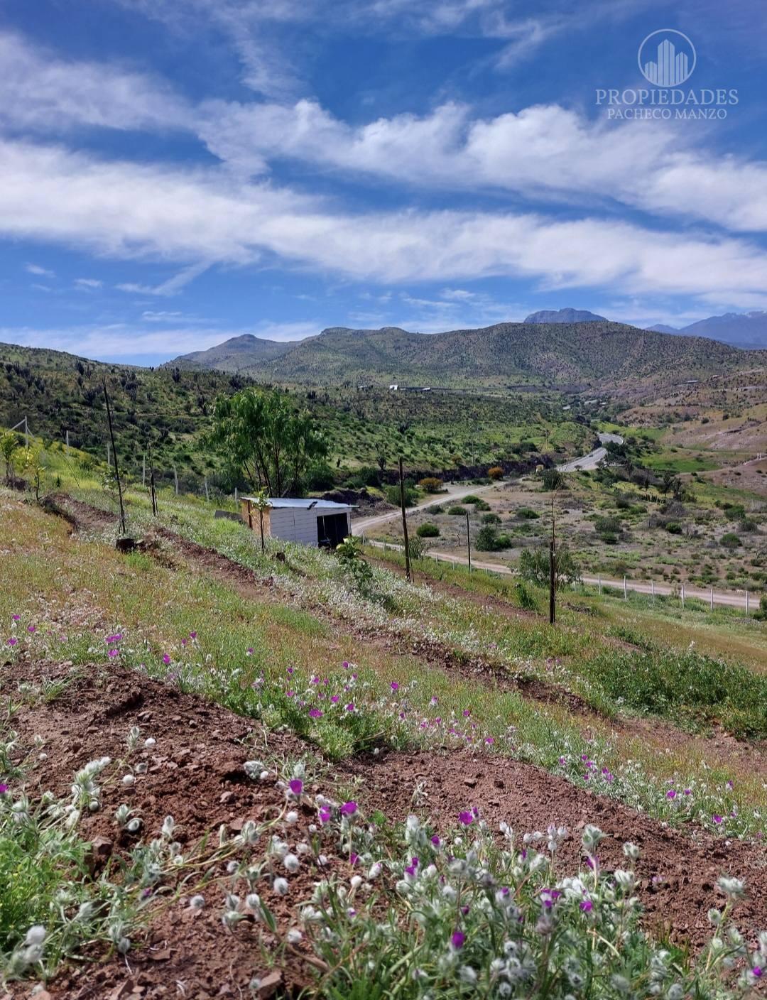 TERRENO CON CASA EN EL SECTOR DE MONTE PATRIA