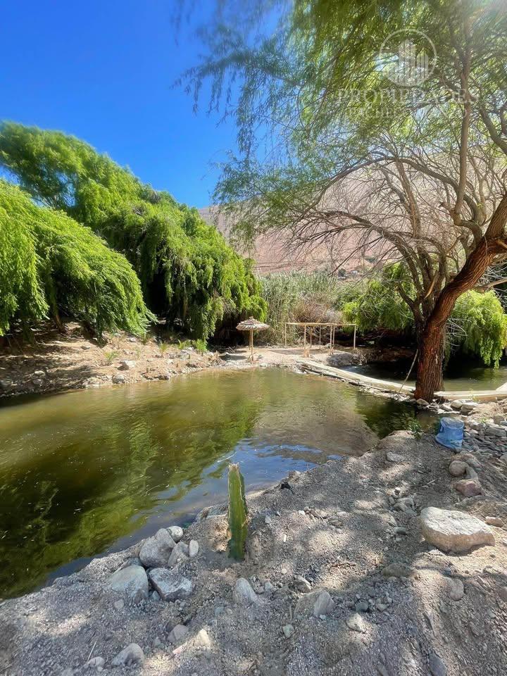 TERRENO TURISTICO CON RIO 5.200m2 Valle del Elqui
