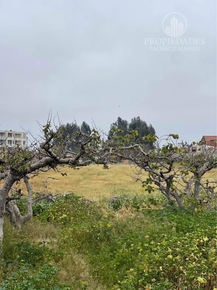 TERRENO COMERCIAL - LA SERENA